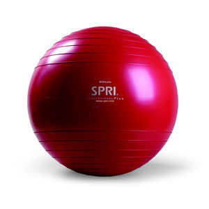 SPRI 65cm Professional Plus Xercise Ball™