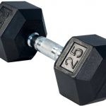 25LBS RUBBER DUMBBELL