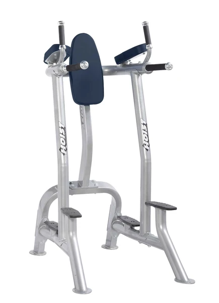 Commercial-Freeweights-CF-3252-Vertical-Knee-Raise-Dip-Navy_d67ec2c1-f9ef-40d4-8e8b-c9ee056c69c1_grande