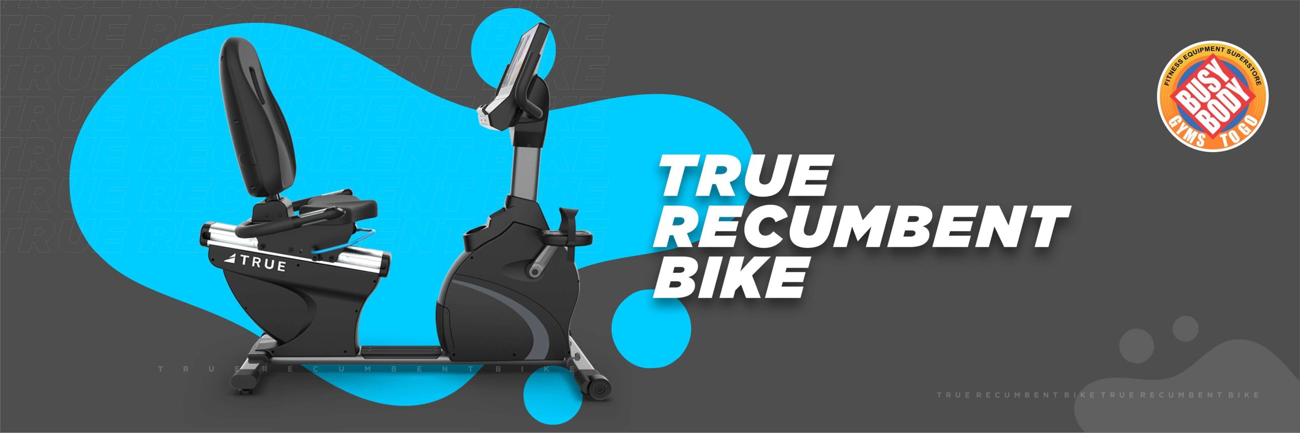 True Recumbent Bike