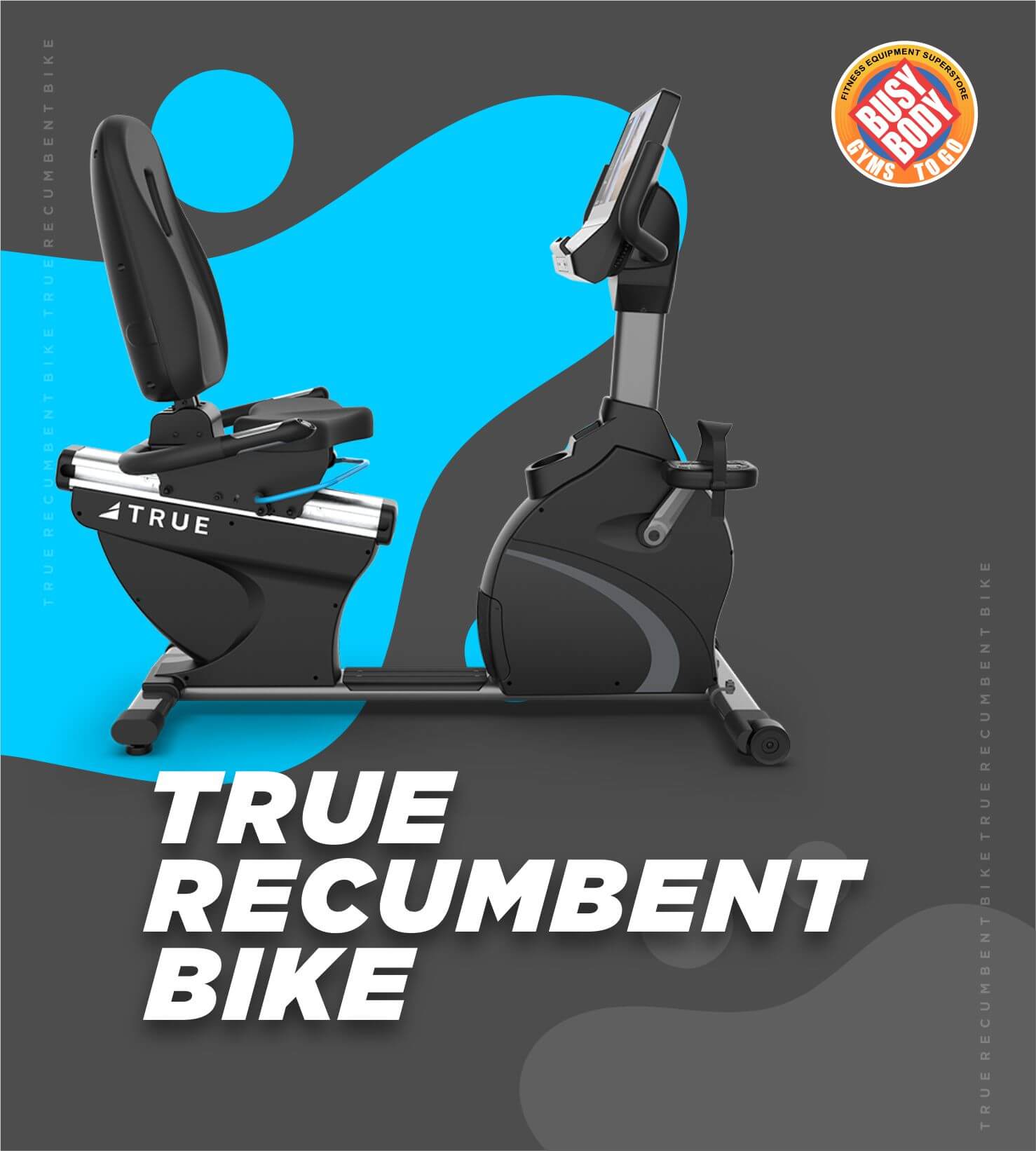 True Recumbent Bike